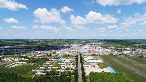 黑龍江克山縣農村供水保障工程選擇哪種規?；幚碓O備?