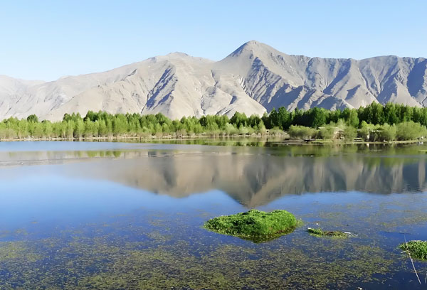 西藏那曲村鎮飲水提升工程用什么凈水設備凈化水質