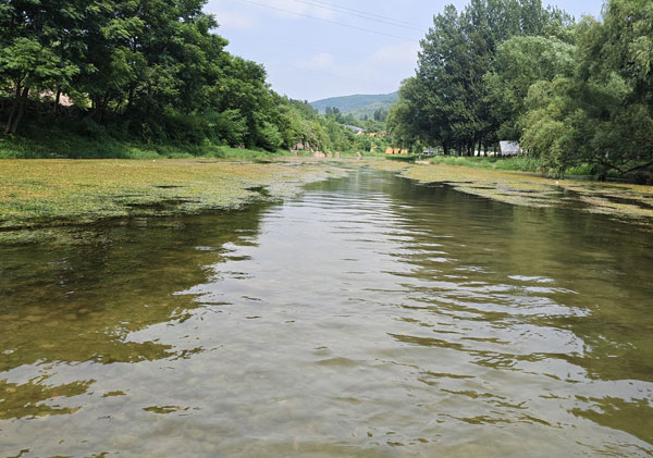河水處理成工廠生產用水該用什么凈化方法