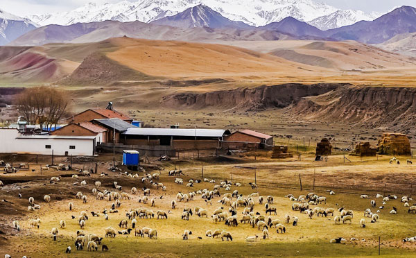 牧區飲水提升水